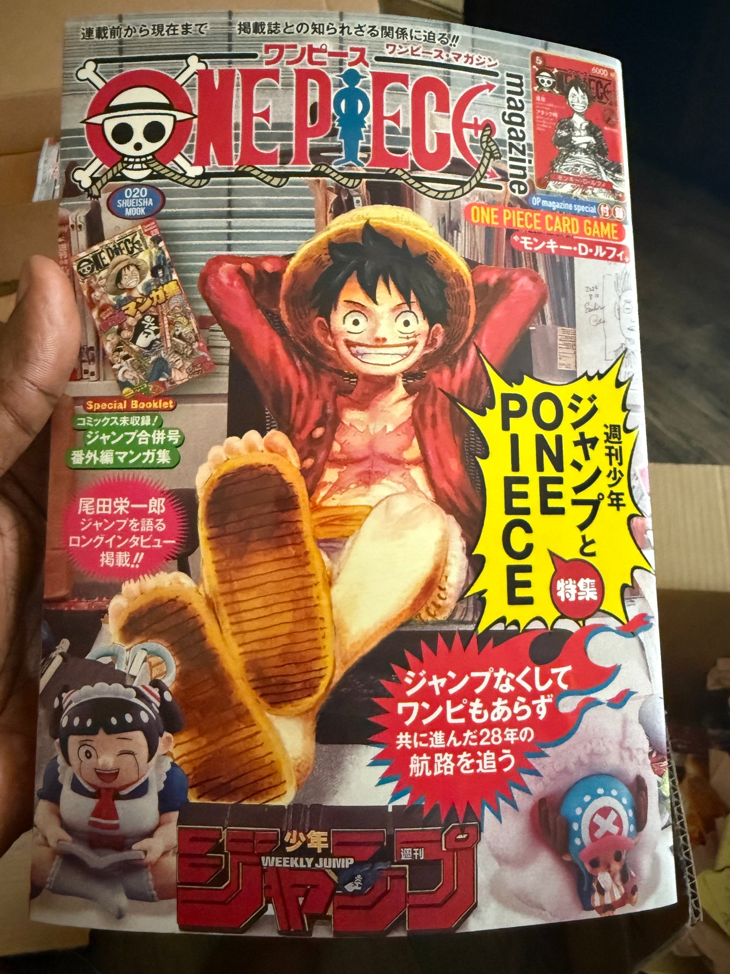Luffy promo shipping